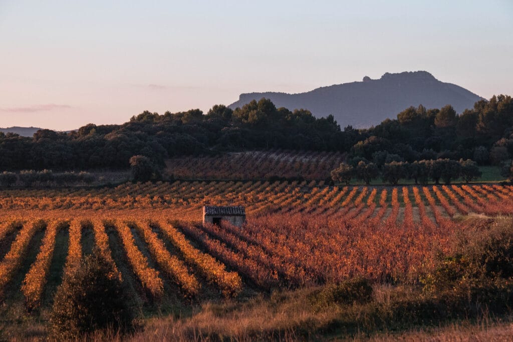Luberon