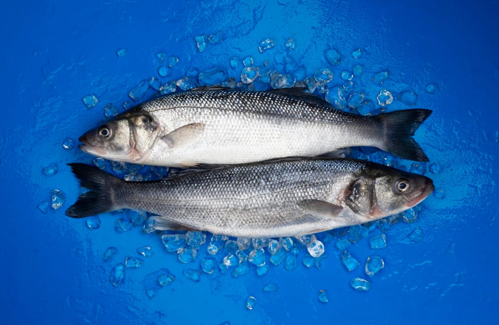 Peche